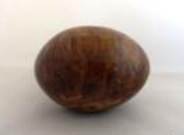 Egg Project 